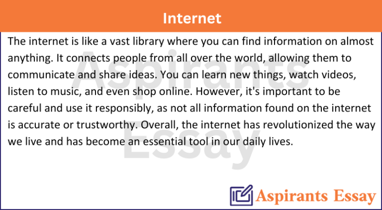 Paragraph on Internet