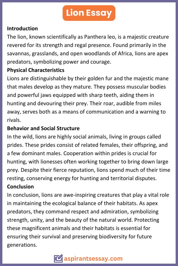 Essay on Lion