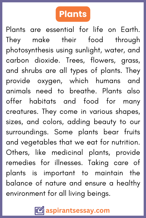 Paragraph on Plants