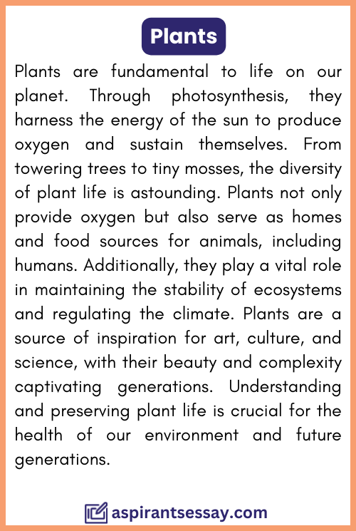 Plants Paragraph